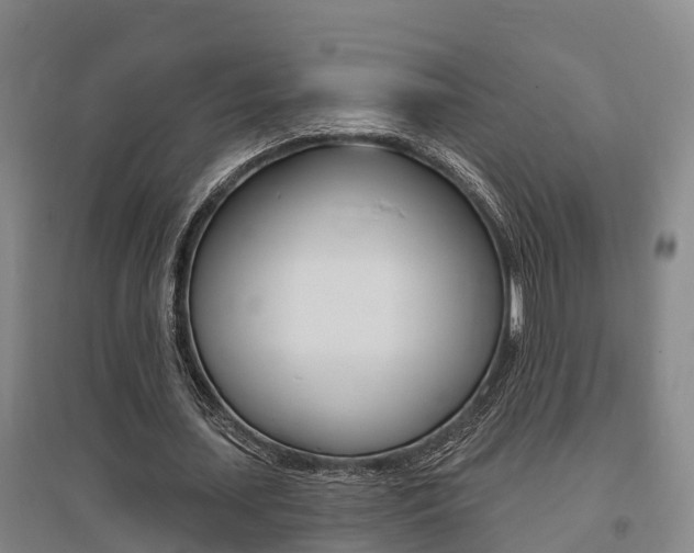 X0000095930627200801110919