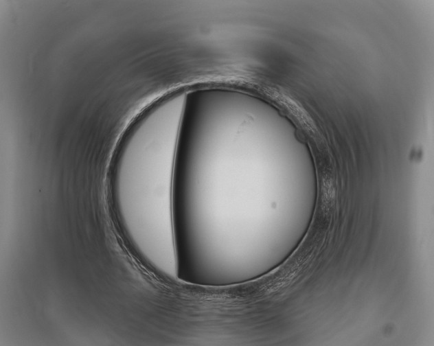X0000095930628200801110919