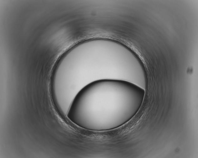 X0000095930629200801110919