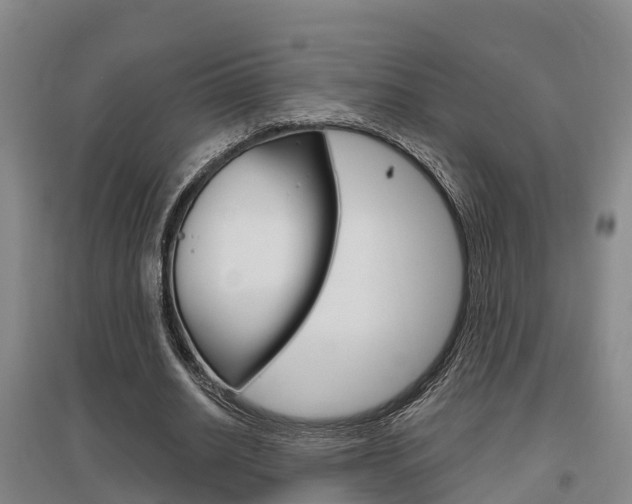 X0000095930630200801110919