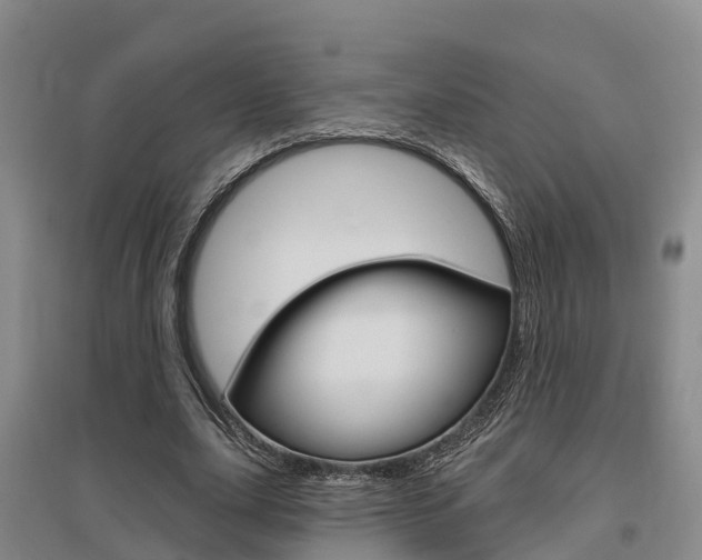 X0000095930631200801110919