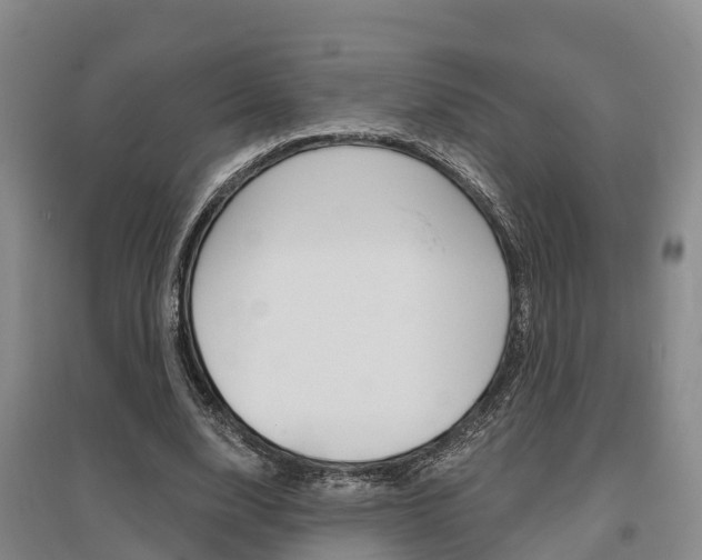 X0000095930632200801110919