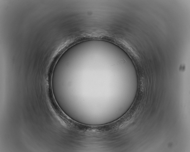 X0000095930634200801110919