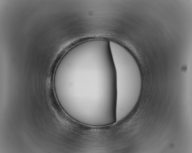 X0000095930636200801110919