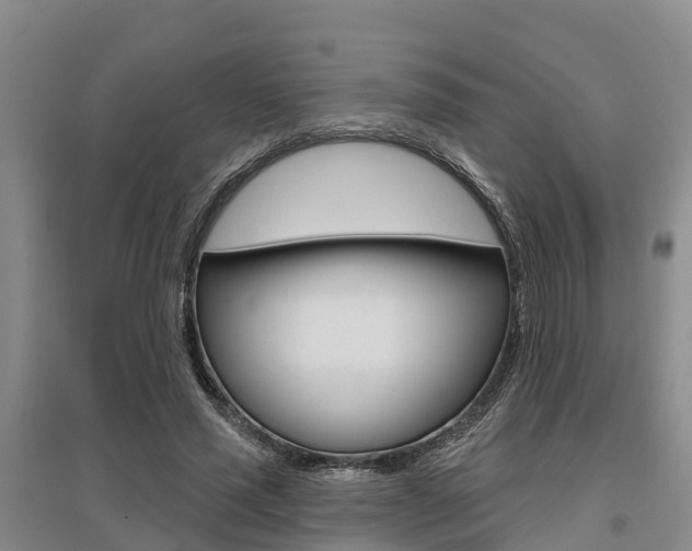 X0000095930637200801110919