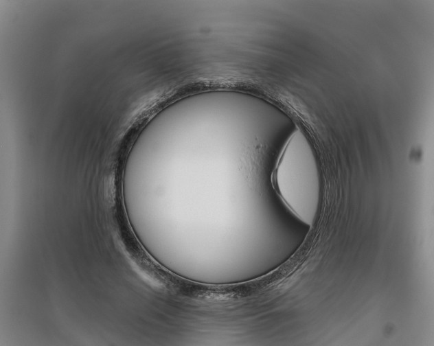 X0000095930638200801110919