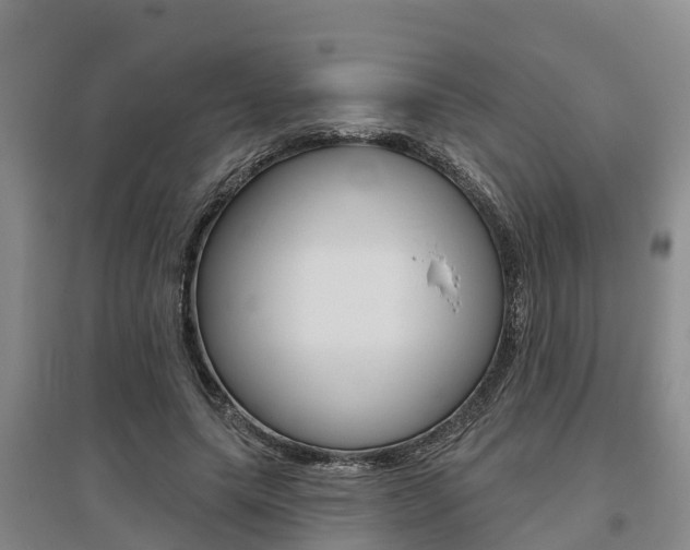X0000095930639200801110919