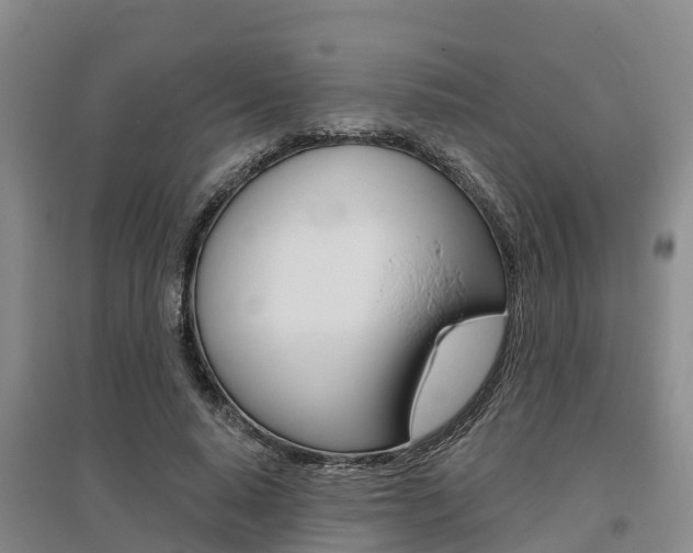X0000095930640200801110919