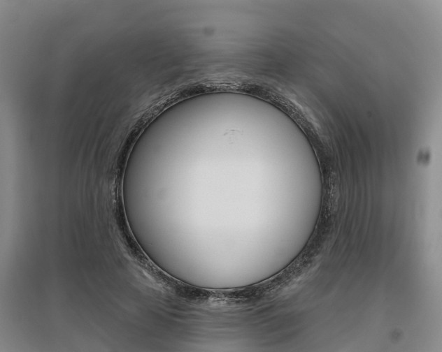 X0000095930641200801110919