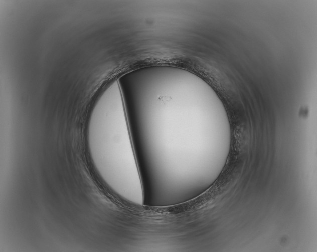 X0000095930642200801110919
