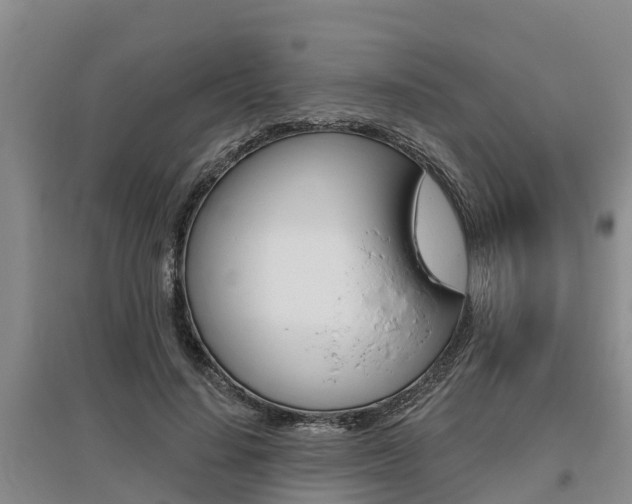 X0000095930644200801110919