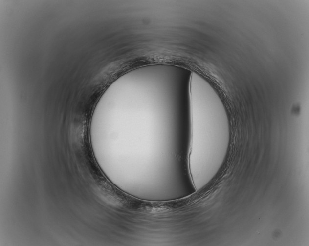 X0000095930645200801110920