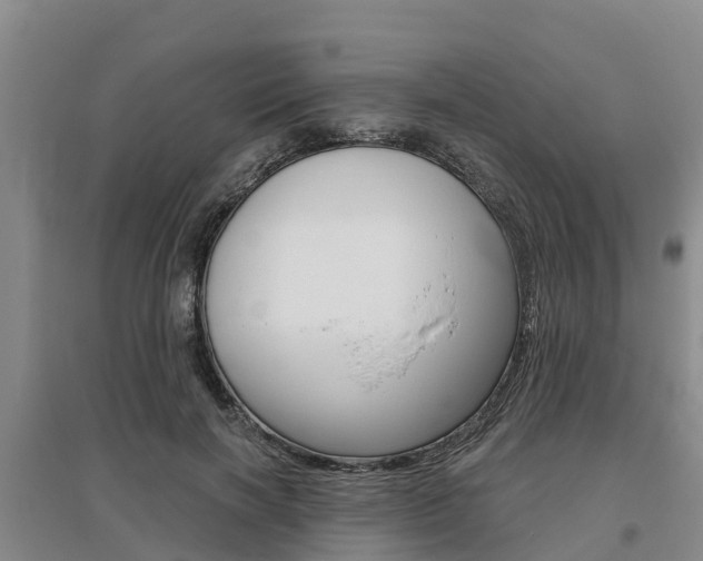 X0000095930646200801110920
