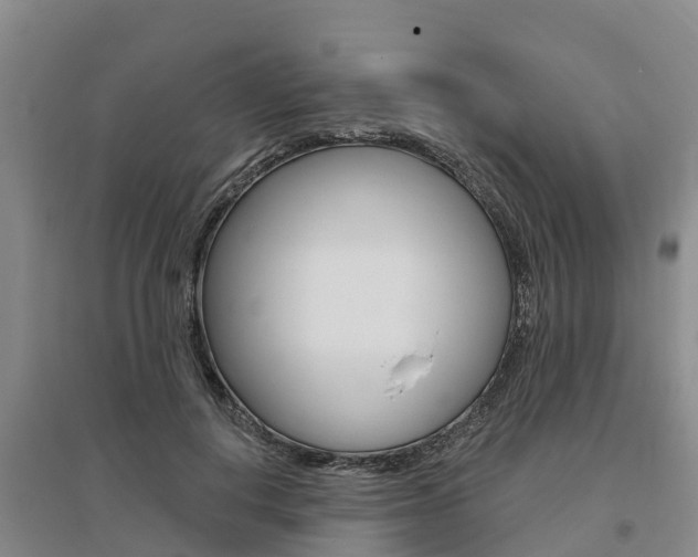 X0000095930648200801110920