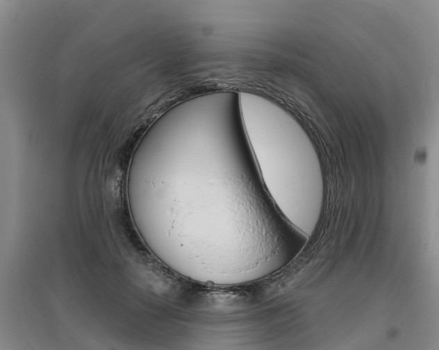 X0000095930650200801110920