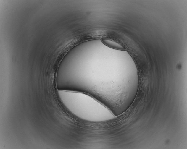 X0000095930652200801110920