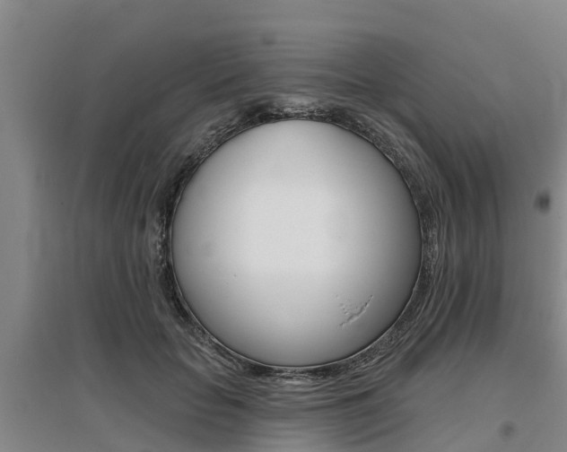 X0000095930653200801110920
