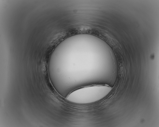 X0000095930654200801110920