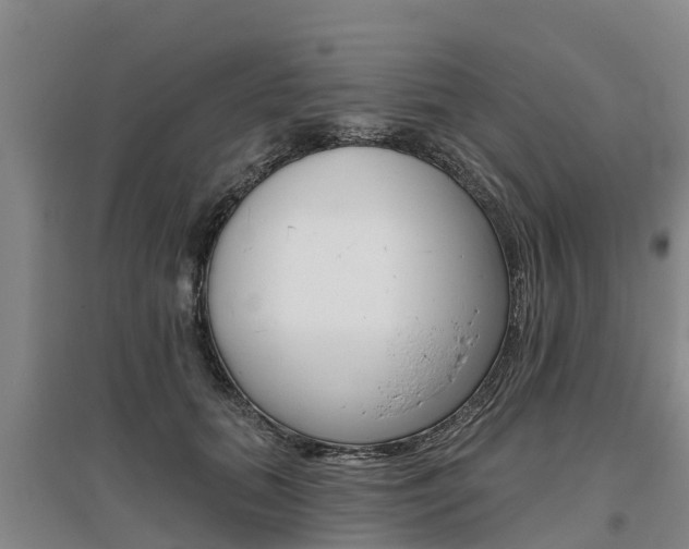 X0000095930655200801110920