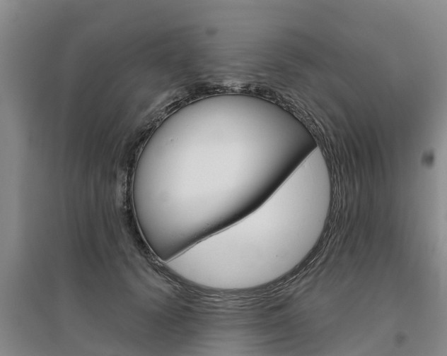 X0000095930656200801110920
