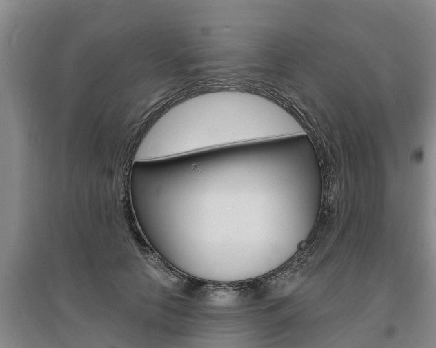 X0000095930658200801110920