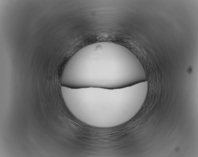 X0000095930659200801110920