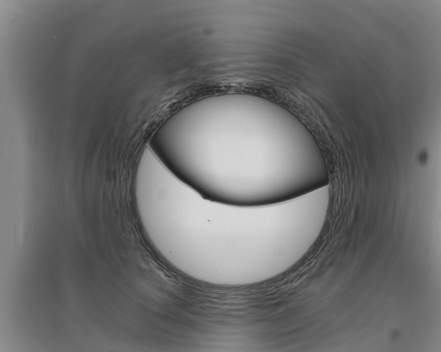 X0000095930660200801110920