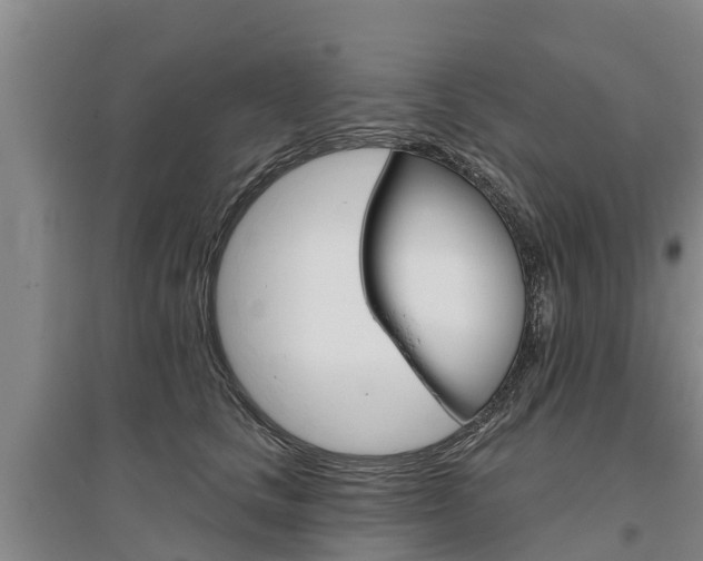 X0000095930661200801110920