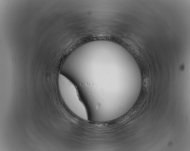 X0000095930662200801110920