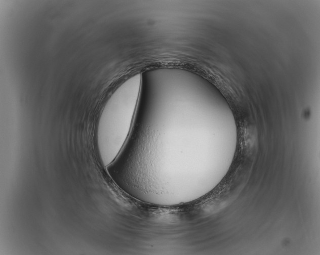 X0000095930664200801110920