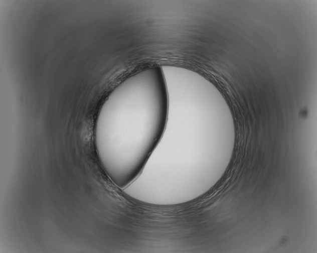 X0000095930665200801110920