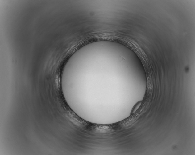 X0000095930669200801110920