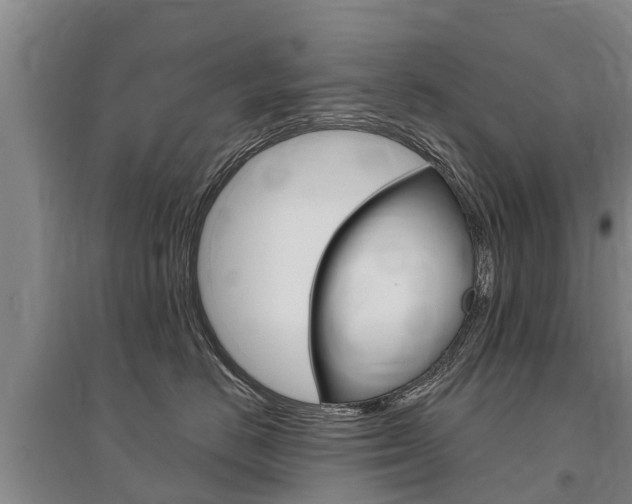 X0000095930670200801110920