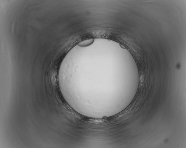 X0000095930671200801110920