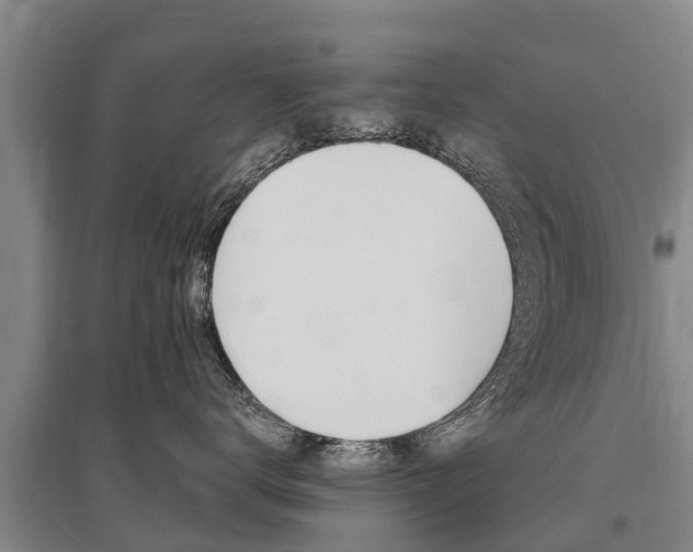 X0000095930672200801110920