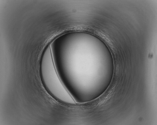 X0000095930673200801110919