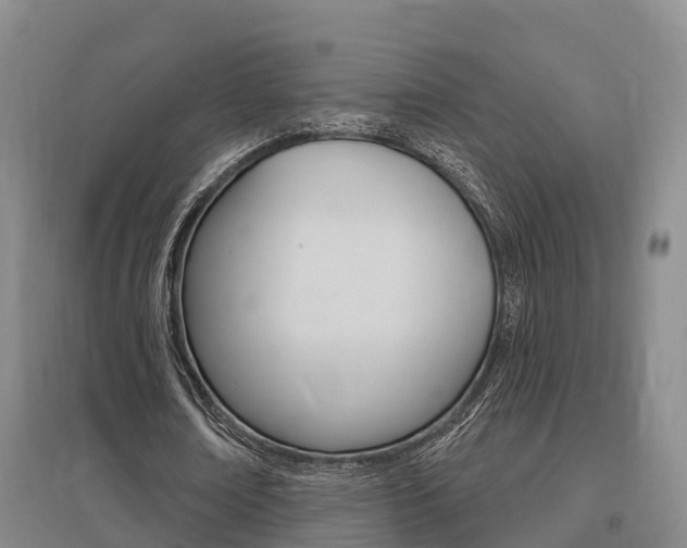 X0000095930674200801110919