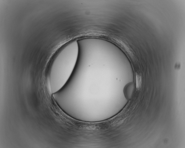 X0000095930675200801110919