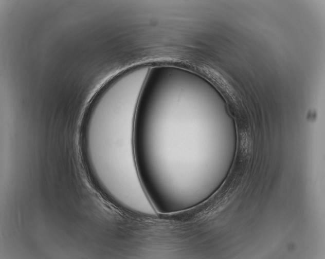 X0000095930676200801110919