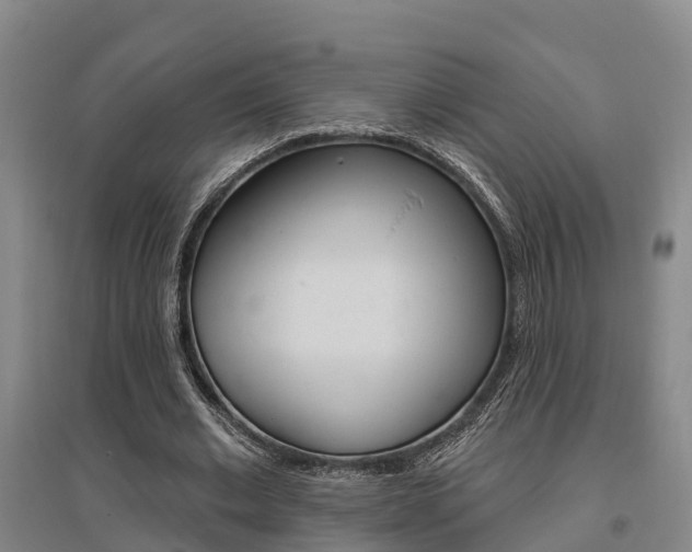 X0000095930677200801110919