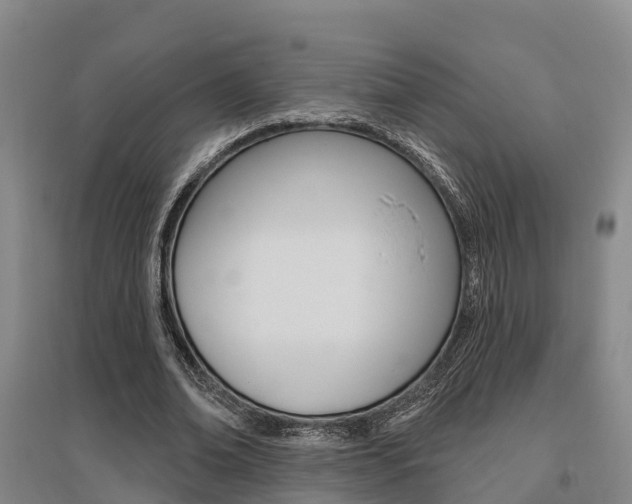 X0000095930678200801110919