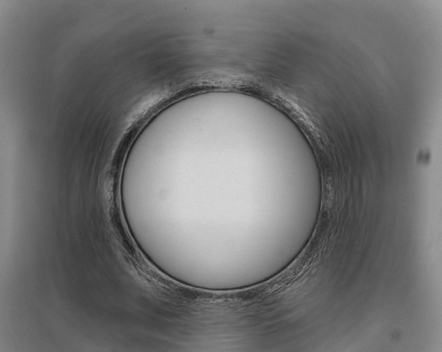 X0000095930679200801110919