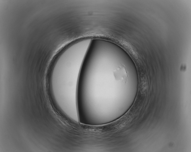X0000095930680200801110919