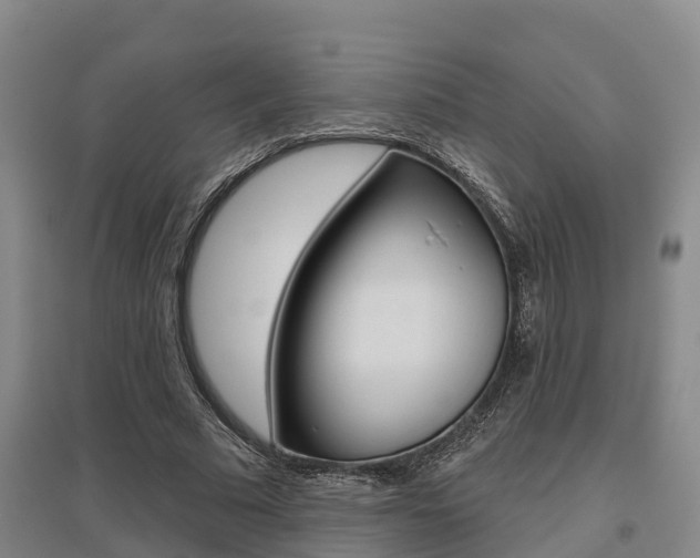 X0000095930681200801110919