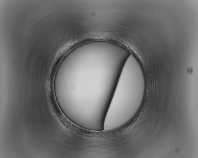 X0000095930682200801110919