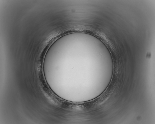 X0000095930683200801110919