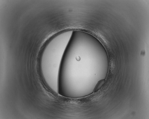 X0000095930684200801110919