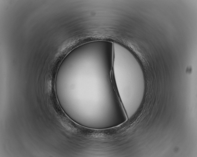 X0000095930685200801110919
