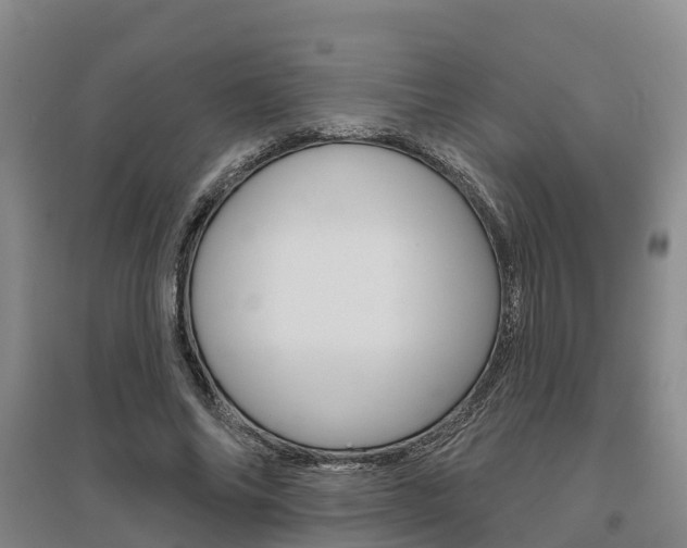 X0000095930686200801110919