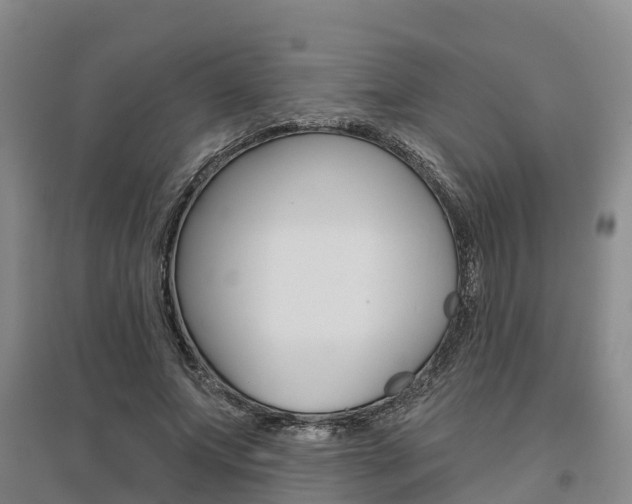 X0000095930687200801110919